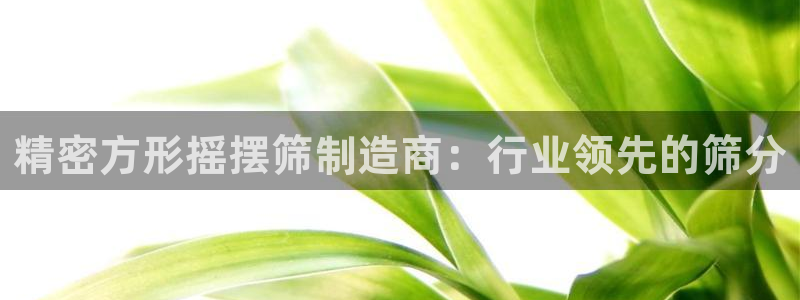 彩神购彩购彩大厅入口v：精密方形摇摆筛制造商：行业领先的筛分